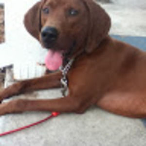 Meet your Posher, Kaylee